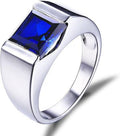 Princess Cut Blue Sapphire Ring 14K White Gold Plated 925 Sterling Silver R59015