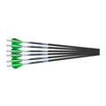 18in 6pk Crossbow Bolts P37235
