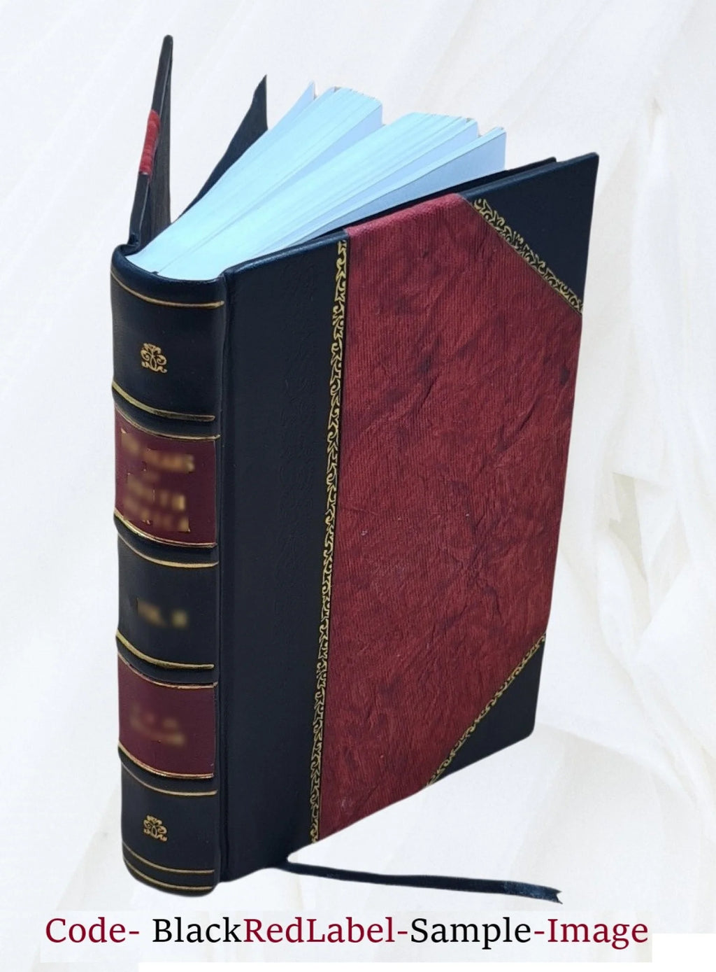 Pacific Northwest Indian wars G68352